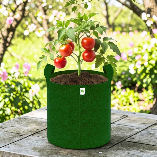 400 GSM Geo Fabric Grow Bag Size 24x24 inches